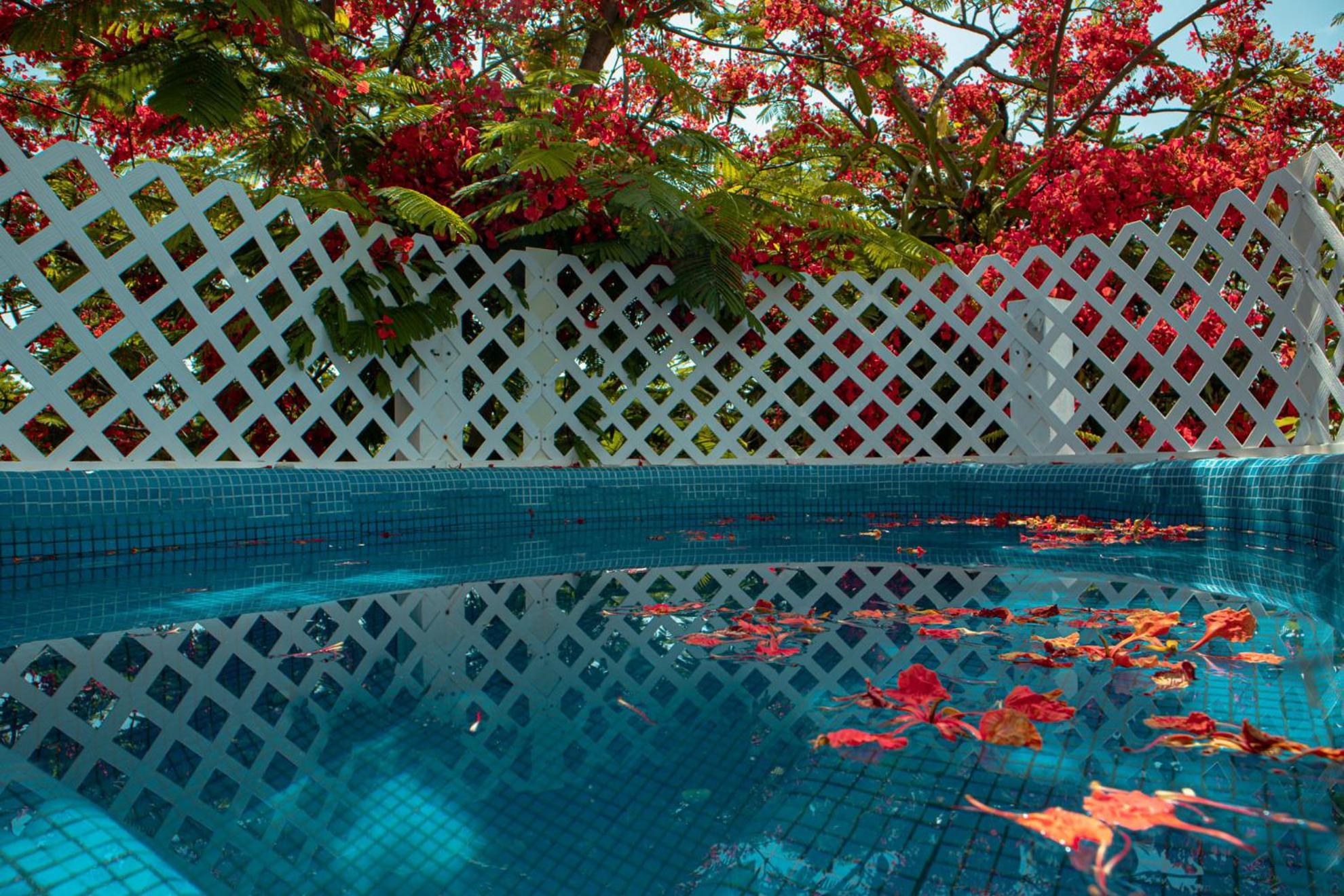 Maison d'hôtes Casa Wayak Cancún